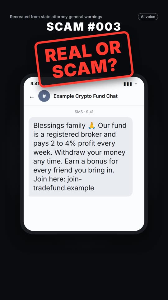 Cover of Scam No. 003: a message with a Real or Scam stamp